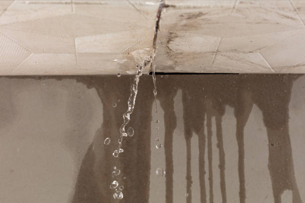 Professional Water Extraction technician working in Mount Olive, IL